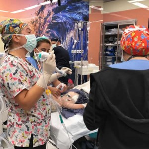 Vathin Tek Kullanımlık Flexible Video Bronkoskop Uygulama Etkinlikleri