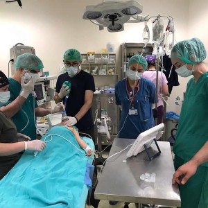 Vathin Tek Kullanımlık Flexible Video Bronkoskop Uygulama Etkinlikleri