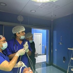 Vathin Tek Kullanımlık Flexible Video Bronkoskop Uygulama Etkinlikleri